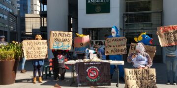 Organizaciones y comunidades de La Paz y Cozumel protestan en oficinas de Semarnat para evitar la llegada de megacruceros