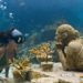 Quintana Roo cerró el año de 2021 con más de 14 millones 823 mil visitantes