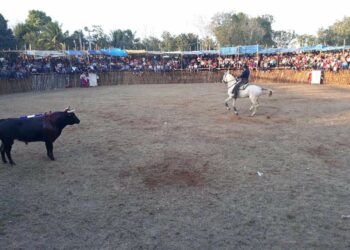 Realizarán corrida de toros en Kantunilkín, con amparo