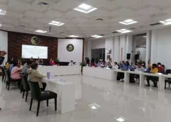 Aprueban, con reservas, cuenta pública 2021 de Solidaridad