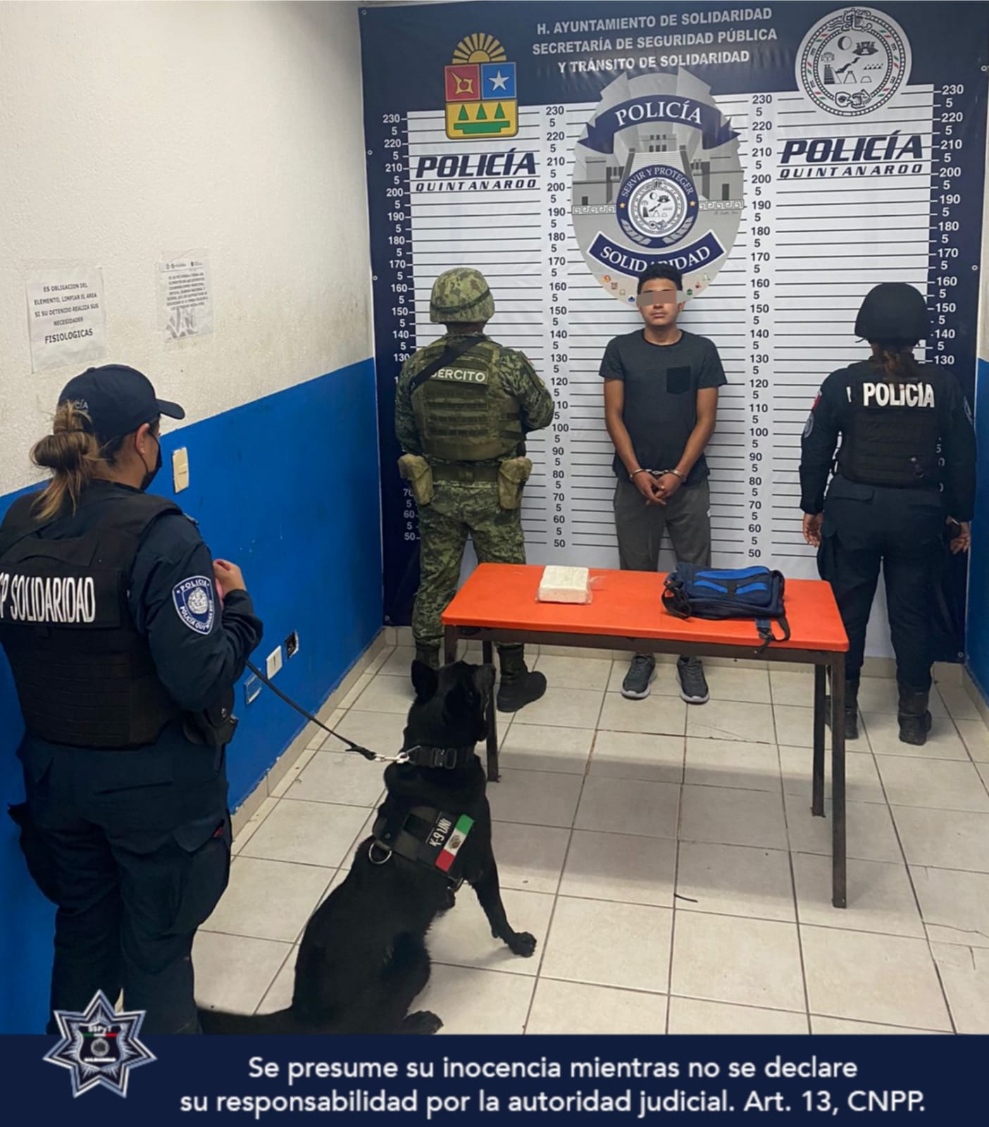 Binomio canino detecta a sujeto con ladrillo de coca en Playa del Carmen