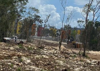 Devastación de Ara supera con mucho a brecha del Tren Maya, acusan playenses