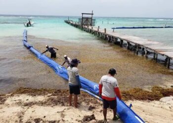 Iniciará la próxima semana instalación de barrera antisargazo en Playa del Carmen