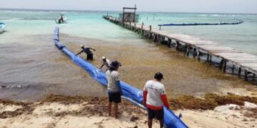 Iniciará la próxima semana instalación de barrera antisargazo en Playa del Carmen