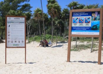 Disfrutan bañistas de playas certificadas en Solidaridad