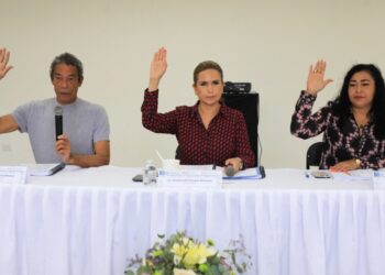 Aprueban acuerdos para mejor función del Instituto de Cultura