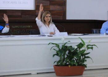 Se establecen puntos de acuerdos para beneficio de los playenses en la Décima Quinta Sesión Ordinaria de Solidaridad