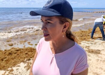 Afecta sargazo 5 de 20 accesos a la costa en Playa del Carmen