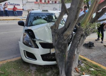 Chocan a taxi y lo proyectan contra un árbol en Playa del Carmen