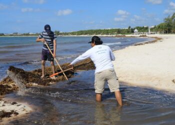 Continúa jornada de limpieza de playas