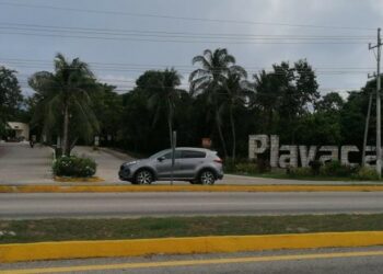 Hallan cuerpo putrefacto dentro de condominio en Playacar