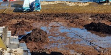Lamenta líder hotelero actuación tarde de la Marina ante sargazo