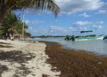 Por vientos fuertes, cierran puerto a embarcaciones menores en Playa del Carmen