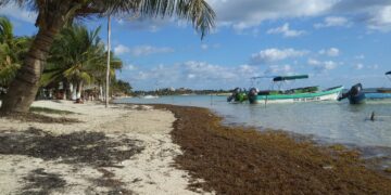 Por vientos fuertes, cierran puerto a embarcaciones menores en Playa del Carmen