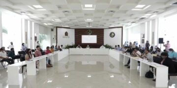 Solicita Cabildo de Solidaridad estudios ambientales del Tren Maya