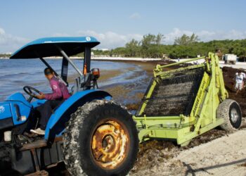 Jornada de limpieza de sargazo en Punta Esmeralda 