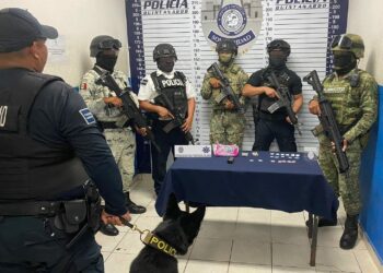Policías de Solidaridad encuentran droga en una maceta de la colonia Centro