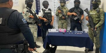Policías de Solidaridad encuentran droga en una maceta de la colonia Centro