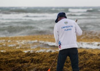 Refuerzan trabajos de limpieza en playas de Solidaridad