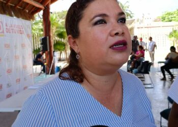 Rescatan a cuatro tortugas varadas en playas de Solidaridad