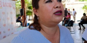 Rescatan a cuatro tortugas varadas en playas de Solidaridad