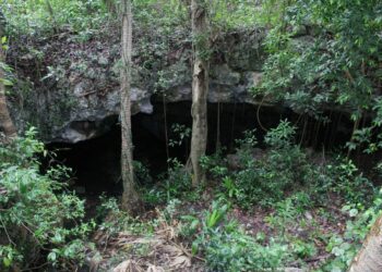 Promueven el Programa “Adoptemos un cenote”