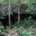 Promueven el Programa “Adoptemos un cenote”
