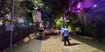 Reordenamiento de la Quinta Avenida no se detiene