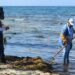 Gobierno municipal continúa con limpieza de playas