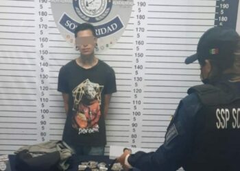 Perro policía detecta a pasajero con narcóticos en van de Playa del Carmen