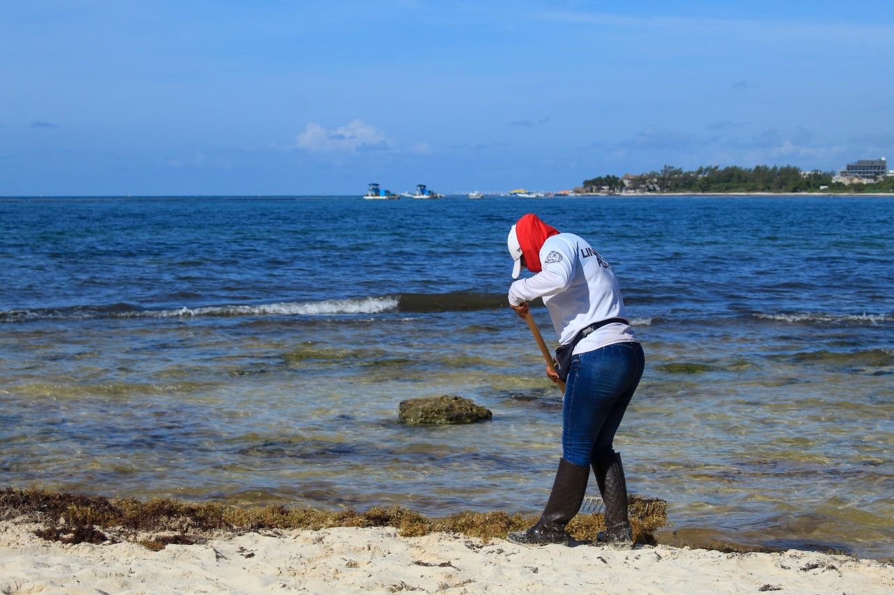Gobierno municipal continúa con limpieza de playas