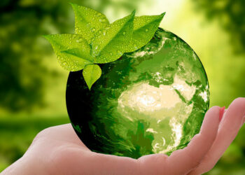 Organizan diversas actividades por el Día Mundial de Medio Ambiente en Solidaridad