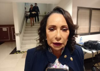 Programas sociales de la federación han afectado la recuperación de empleos en el estado: Catalina Portillo