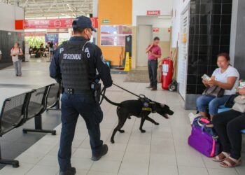 Unidad Canina contribuye a la prevención de delitos en Solidaridad
