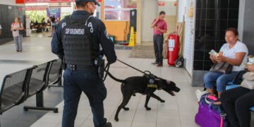 Unidad Canina contribuye a la prevención de delitos en Solidaridad