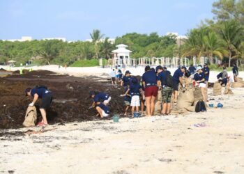Voluntarios se suman a limpieza de playas