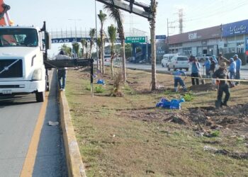 Comienza reforestación del bulevar Playa del Carmen