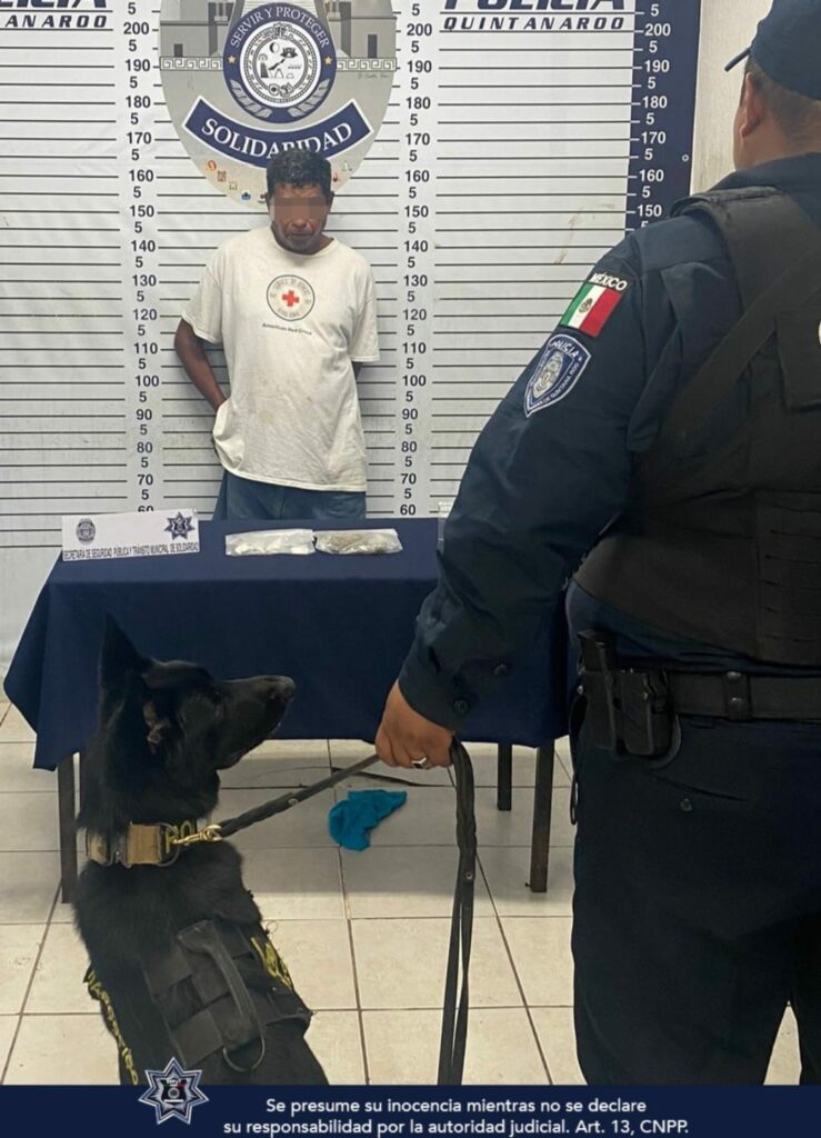 Detienen a sujeto con droga en puesto de inspección en Playa del Carmen