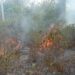 Inmobiliarias, detrás de incendios forestales en Solidaridad