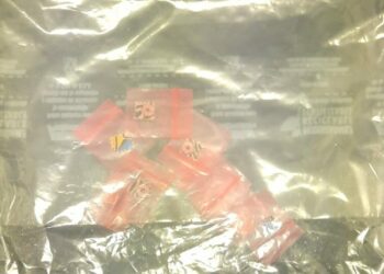 Traía LSD en Puerto Aventuras y lo detiene la Policía Municipal