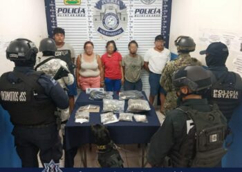 Unidad canina logra la detención de cinco personas en posesión de droga en Solidaridad