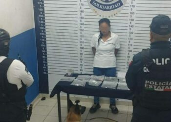 Mesera chiapaneca escondía droga en restaurante en la zona turística de Playa del Carmen