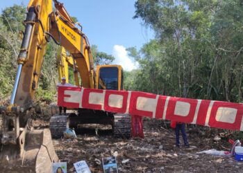 'Mentiras' de Fonatur solo han sumado a más gente a la defensa de la selva: ambientalista