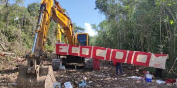 'Mentiras' de Fonatur solo han sumado a más gente a la defensa de la selva: ambientalista