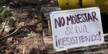 Revocan suspensión definitiva de las obras del Tramo 5 del Tren Maya