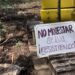 Revocan suspensión definitiva de las obras del Tramo 5 del Tren Maya