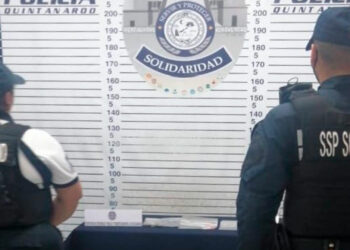 Coctél de sustancias ilícitas encuentra perro policía en la Quinta Avenida de Playa del Carmen