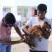Solidaridad se prepara para jornada de vacunación antirrábica felina y canina