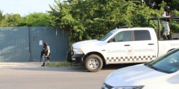 Detienen a cinco personas y aseguran más de 100 kilos de marihuana, armas y vehículos, en Playa del Carmen