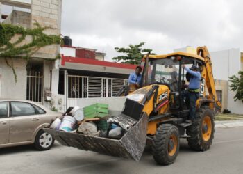 Todo septiembre mes de descacharrización en Solidaridad